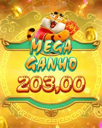 hokiraja88 Game type